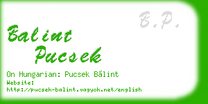 balint pucsek business card
